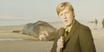 Explotan el cuerpo de una ballena varada con dinamita en 1970