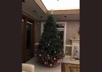 La madre compartió la fotografía del árbol navideño y se viralizó