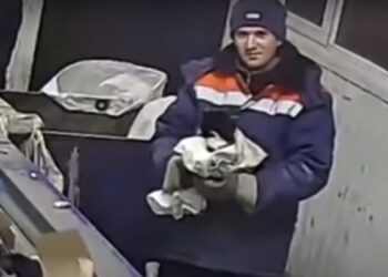 El pequeño gatito estaba dentro de una bolsa de plástico cuando un basurero lo descubrió