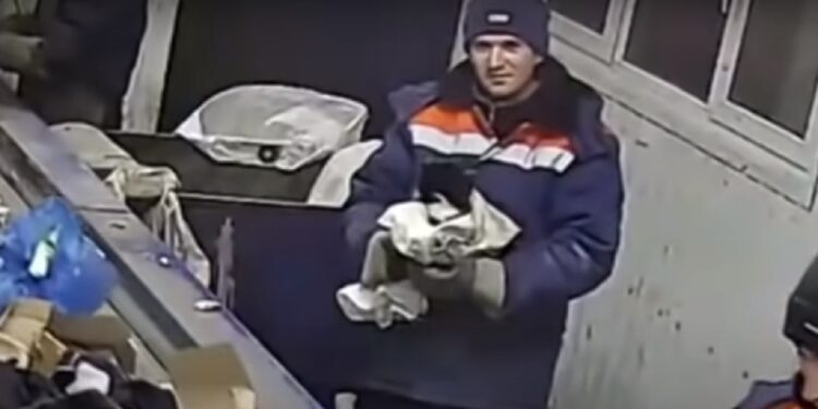 El pequeño gatito estaba dentro de una bolsa de plástico cuando un basurero lo descubrió