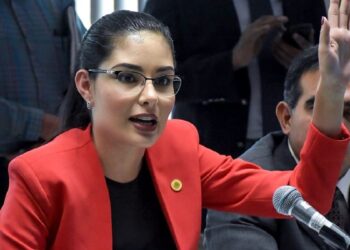 Usuarios publicaron mensajes en lo que señalaban que la diputada presuntamente se había contagiado de Covid-19 directo de AMLO