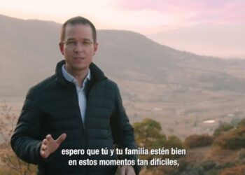 “Agradezco la invitación para ser diputado plurinominal, pero creo que mi papel debe ser otro para ayudar”, dijo Anaya Cortés