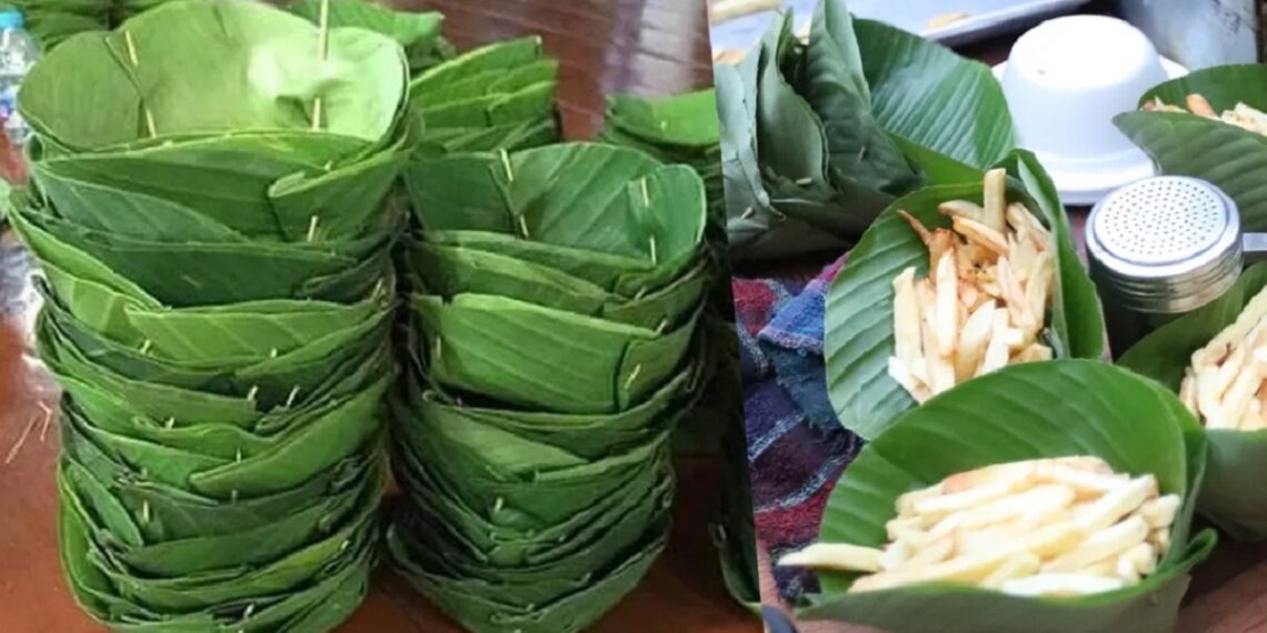 Sustituyen plástico con hojas de plátano en Guatemala